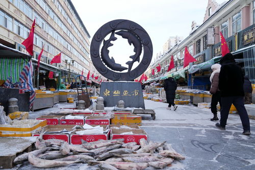 春節(jié)臨近 淡水魚都百年魚市銷售旺 城市生活垃圾經(jīng)營服務(wù)保障升級(jí)